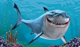 鲨鱼运营爆料是真的吗视频